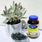 EarthRise Spirulina 300 capsules